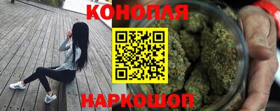гашик Бузулук