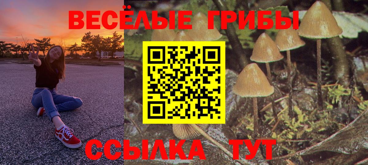 Галлюциногенные грибы Psilocybine cubensis Набережные Челны